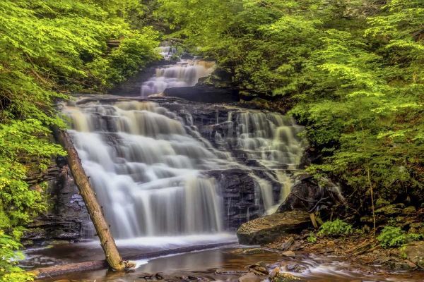 Pennsylvania, Ricketts Glen SP Mohican Falls